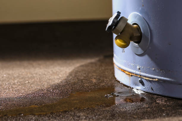 Carpet water damage restoration in Dubach, LA
