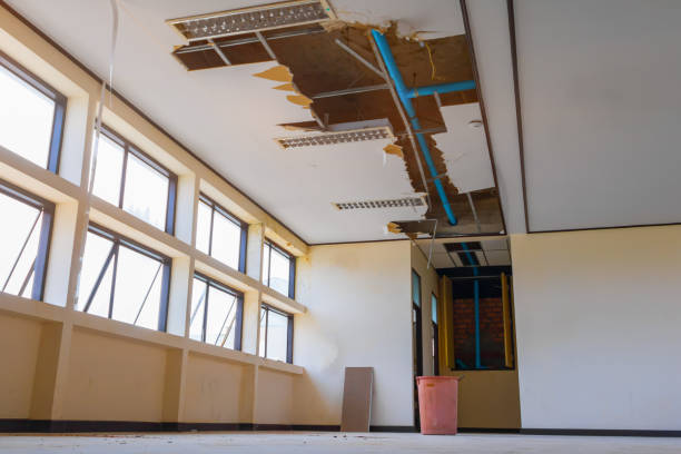 Best Commercial water damage restoration  in Dubach, LA