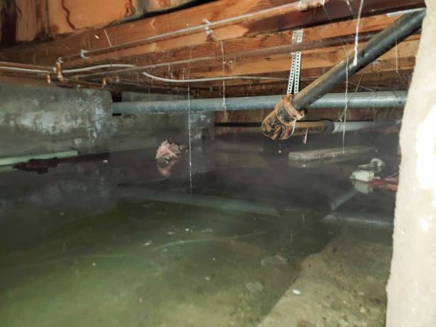 Best Sewage cleanup and water damage restoration  in Dubach, LA