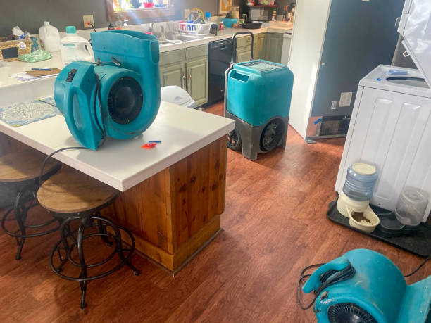 Best Flooded house restoration  in Dubach, LA