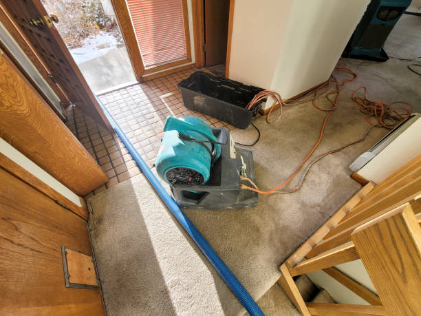 Best Water damage restoration company  in Dubach, LA