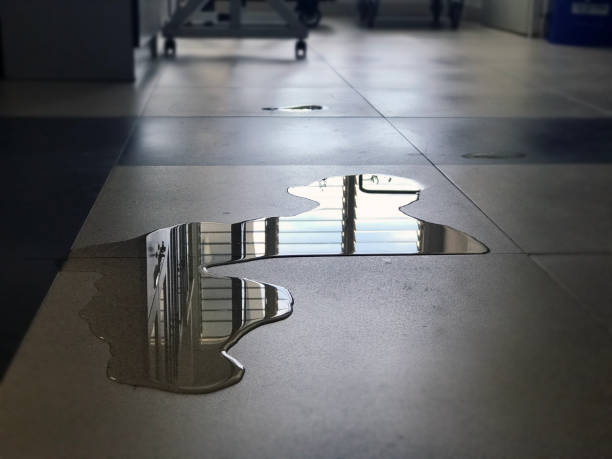 Best Water damage repair service  in Dubach, LA