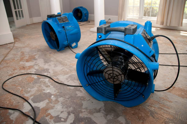 Best 24/7 water damage repair  in Dubach, LA