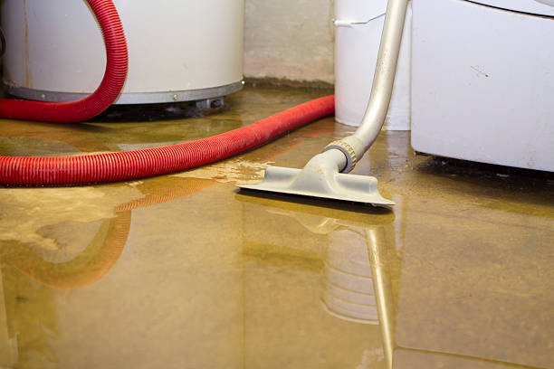 Best Water damage restoration near me  in Dubach, LA