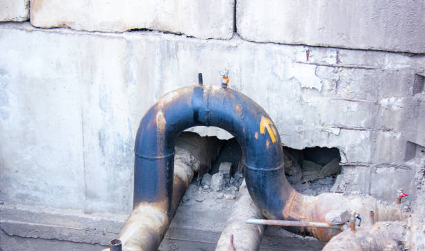 Best Professional water damage repair  in Dubach, LA